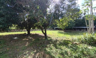 lote en venta en recta corozal. Cod V31074