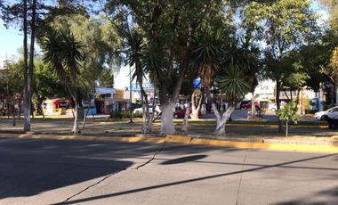 LOCAL EN RENTA