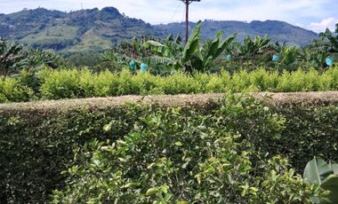 SE VENDE EXCELENTE TEMPERADERO EN SANTAGUEDA.