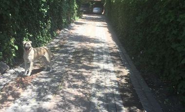 Sitio en venta en Lo Barnechea