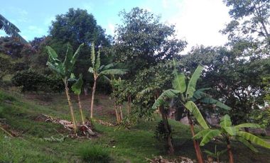 lote en venta en dapa. Cod V107313