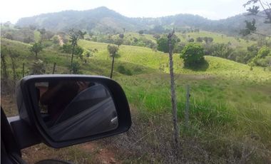 Terreno venta en La Chorrera, El Coco