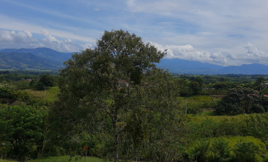 VENTA DE LOTE EN PARCELACION CERCA AL PEAJE DE ACAPULCO