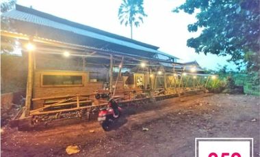 Tanah + Cafe Luas 241 daerah Joyo Agung Dinoyo kota Malang