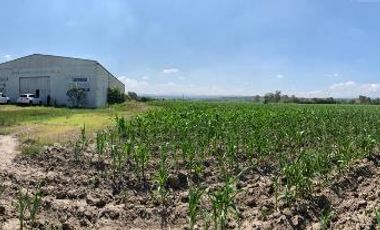Terreno 16 Has., uso de suelo mixto, Industrial ...  San Nicolas, Polotitlán.
