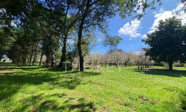 Agrícola en Venta en Camino Angol - Renaico