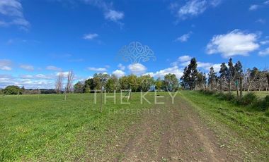 Agrícola en Venta en Camino Angol - Renaico