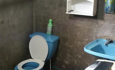 CASA CON TERRENO DE 5.000 M2, EN SECTOR SAN VÍCTOR ÁLAMOS, LINARES.
