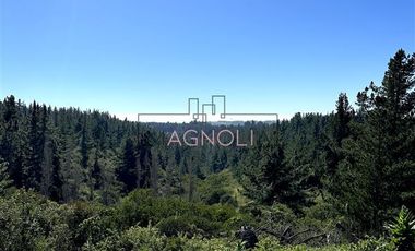 Parcela en Venta en bajo el azul, el chorrillo