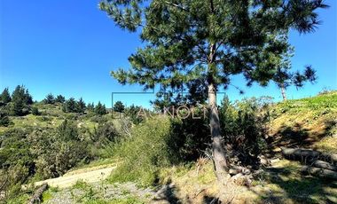 Parcela en Venta en bajo el azul, el chorrillo