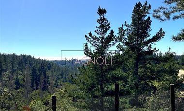 Parcela en Venta en bajo el azul, el chorrillo