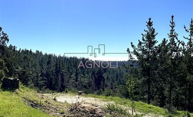 Parcela en Venta en bajo el azul, el chorrillo