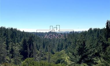 Parcela en Venta en bajo el azul, el chorrillo