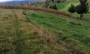 Terreno de venta en Sayopamba - Ludo – código:14905