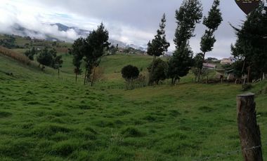 Terreno de venta en Sayopamba - Ludo – código:14905