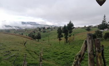 Terreno de venta en Sayopamba - Ludo – código:14905