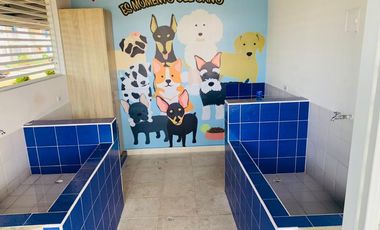 apartamento en venta en puerto azul. Cod V10610143