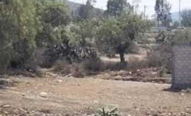 TERRENO EN 