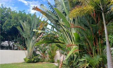PH NATIVA - (295M2) - RM