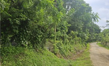Se Vende Finca de 4 hectáreas en Colon Portobelo