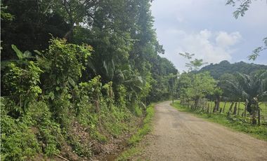 Se Vende Finca de 4 hectáreas en Colon Portobelo