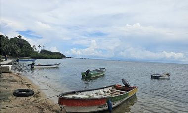 Se Vende Finca de 4 hectáreas en Colon Portobelo