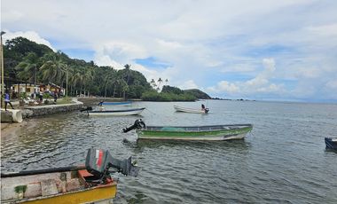 Se Vende Finca de 4 hectáreas en Colon Portobelo
