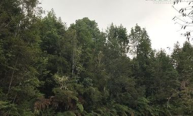 Parcela en Venta en Terreno Sector La Vara Senda Sur (5 hás)