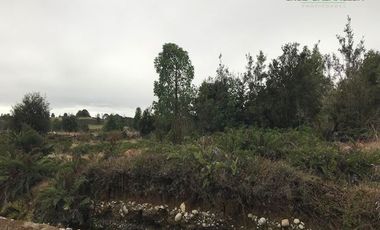 Parcela en Venta en Terreno Sector La Vara Senda Sur (5 hás)