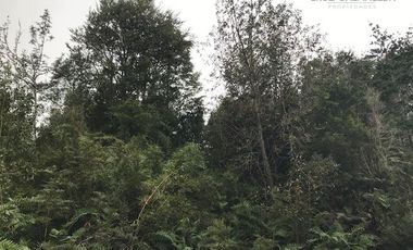 Parcela en Venta en Terreno Sector La Vara Senda Sur (5 hás)