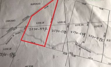 Parcela en Venta en Terreno Sector La Vara Senda Sur (5 hás)