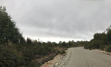 Parcela en Venta en Terreno Sector La Vara Senda Sur (5 hás)