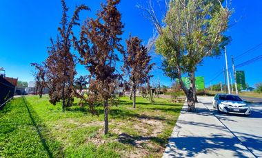 NORTE EN ST CHARBEL CON EXCELENTES ESPACIOS Y ROOF GARDEN