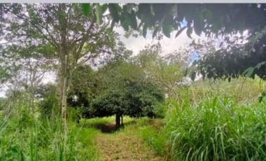 finca en venta en la vega. Cod V4733