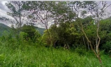 finca en venta en la vega. Cod V4733