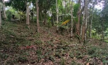 finca en venta en la vega. Cod V4733