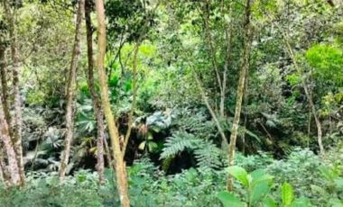 finca en venta en la vega. Cod V4733