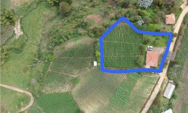 VENTA FINCA 5000 mts2 MARINILLA SECTOR LLANADAS