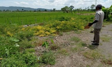 Tanah Siap Bangun Termurah Di Dekat Exit Toll Prambanan