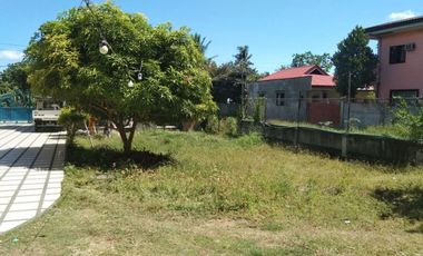 Duplex House for Sale in Lapu Lapu with Swimming Pool