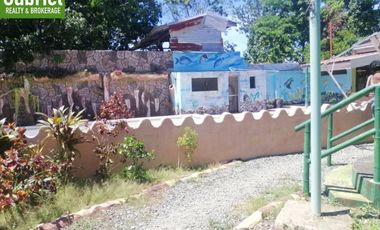 Duplex House for Sale in Lapu Lapu with Swimming Pool