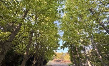 Parcela en Venta en Chicureo