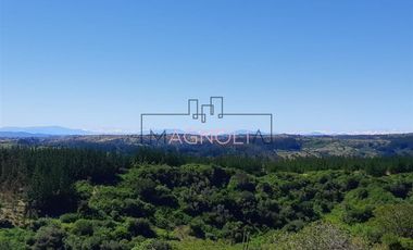 Parcela en Venta en alto centinela