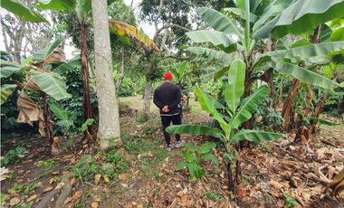 Finca En Venta En Fusagasugá 7.800m2 en Vereda Guavio Bajo
