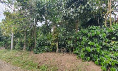Finca En Venta En Fusagasugá 7.800m2 en Vereda Guavio Bajo