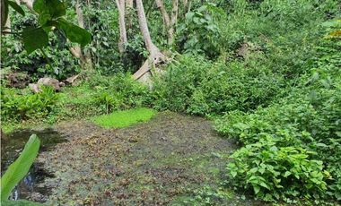 Finca En Venta En Fusagasugá 7.800m2 en Vereda Guavio Bajo