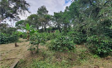 Finca En Venta En Fusagasugá 7.800m2 en Vereda Guavio Bajo