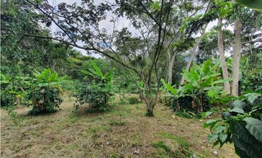 Finca En Venta En Fusagasugá 7.800m2 en Vereda Guavio Bajo