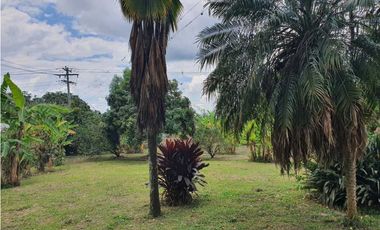 Finca En Venta En Fusagasugá 7.800m2 en Vereda Guavio Bajo