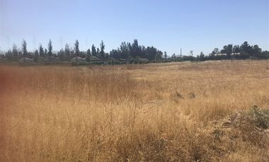 Sitio en venta en Melipilla